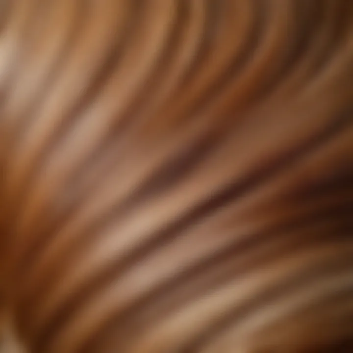 A close-up of beautifully blended caramel highlights in hair