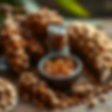 Argan Yağı Cilde Nasıl Kullanılır? Introduction Argan Yağı Cilde Nasıl Kullanılır? Introduction
