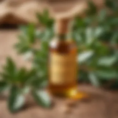 A bottle of pure argan oil with green leaves