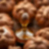 A close-up view of argan nuts and oil droplets