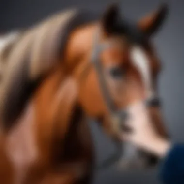 Demonstration of proper brushing technique on a horse's coat