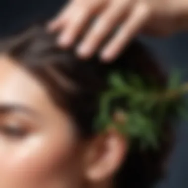 Close-up of rosemary oil being applied to hair strands