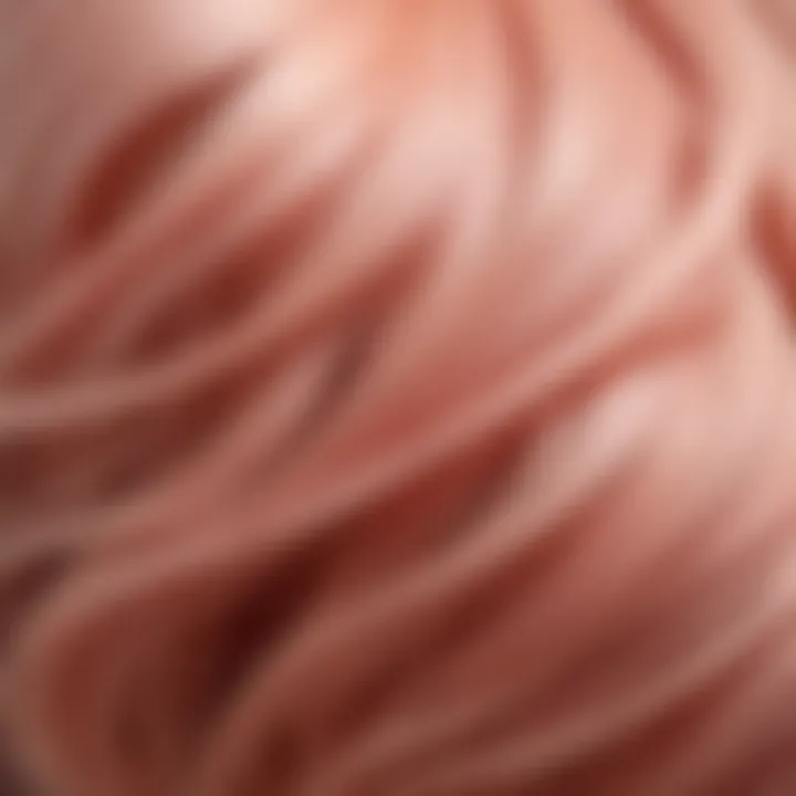 A close-up of hair strands featuring the blend of blush light shades