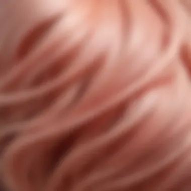 Detail of Blush Light Hair Strands A close-up of hair strands featuring the blend of blush light shades