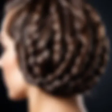 Intricate Braided Patterns Elegant braided hairstyle showcasing intricate patterns