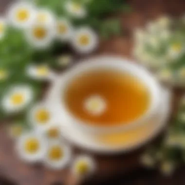 An infographic showing the benefits of chamomile tea for menstrual health