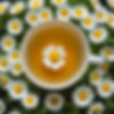 Chamomile Tea Serenity A serene cup of chamomile tea surrounded by fresh chamomile flowers
