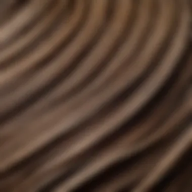 Rich Texture of Ash-Colored Hair Close-up of ash hair highlighting the texture and color richness.