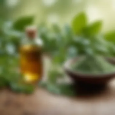 Exquisite herbal ingredients for natural skincare