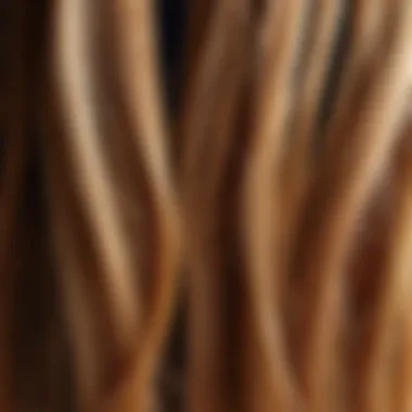 Close-up of damaged hair strands displaying split ends and brittleness