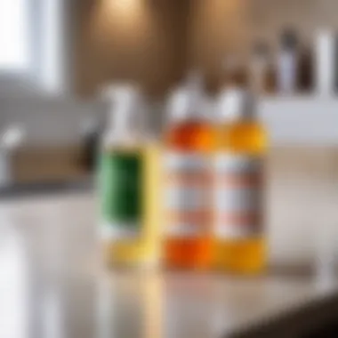 Various natural cleaning agents on a countertop