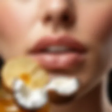 An arrangement of natural ingredients commonly used for lip care, such as honey and coconut oil