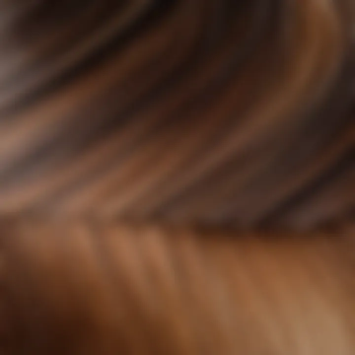 A gradient showcasing different shades of brunette hair