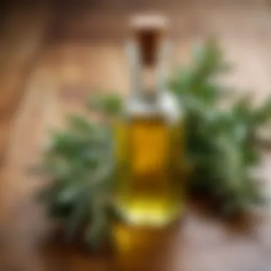 An elegant display of rosemary and olive oil on a wooden surface, representing their synergy.