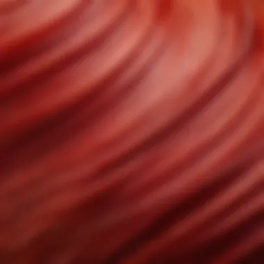 Close-up of hair texture showcasing cold red color