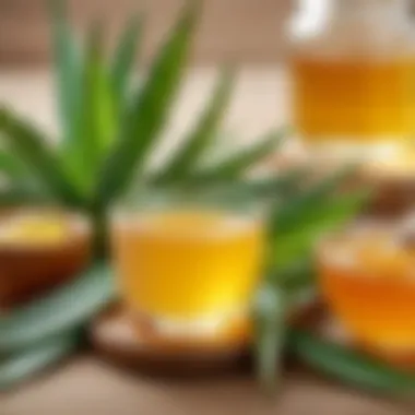 An assortment of natural skincare ingredients including aloe vera and honey