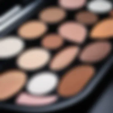 Versatile Makeup Palette Utilization White pencil application on a makeup palette