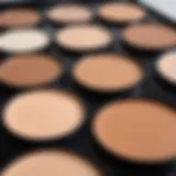 Close-up of a makeup palette showcasing different foundation shades