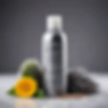 Essential Ingredients for Gray Hair Shampoos An infographic highlighting essential ingredients for gray hair shampoos
