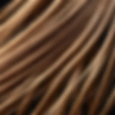 Close-up of hair strands showing healthy shine