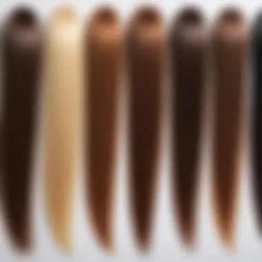 A visual display of different hair types indicating suitability for treatments.