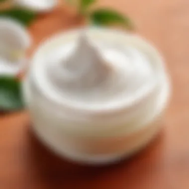 Essential Elements for Dry Skin Care Natural ingredients for homemade skin masks