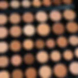 A close-up of a makeup palette with various concealer shades