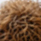 Close-up of hair showing static frizz