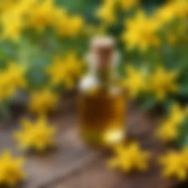 Nutritional components of St. John's Wort oil