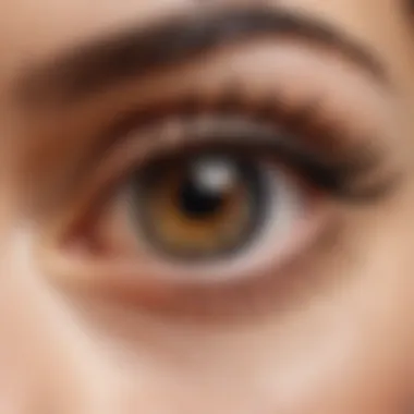 Anatomical Structure of Eyelashes Anatomical structure of eyelashes with detailed features