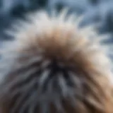 Close-up of static hair with winter background