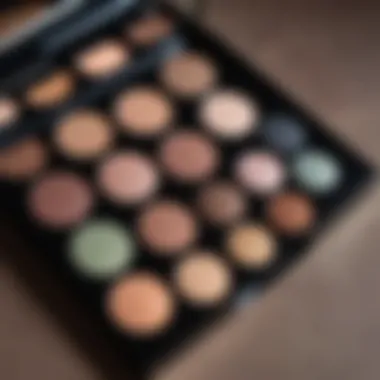 Close-up of a makeup palette showcasing popular shades