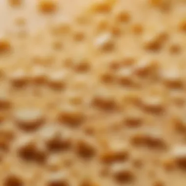 Close-up of a natural ingredient-rich mask showing its texture.