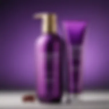 Essential Hair Care Products for Purple Shampoo Users A collection of hair care products for optimal results