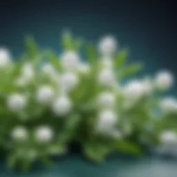 Molecular structure of Niacinamide showcasing its benefits for skin health.