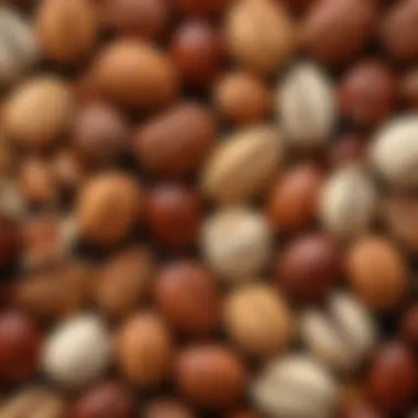 Close-up of nuts and seeds for hair and skin benefits