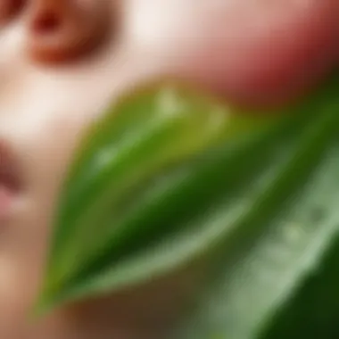 Close-up of aloe vera gel on skin