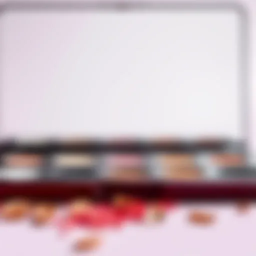 Palette 7.0 ve 8.1 Karışımının Görünümü ve Deneyimleri Introduction