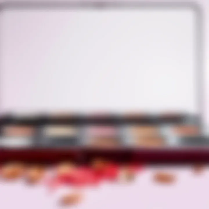 Palette 7.0 ve 8.1 Karışımının Görünümü ve Deneyimleri Introduction