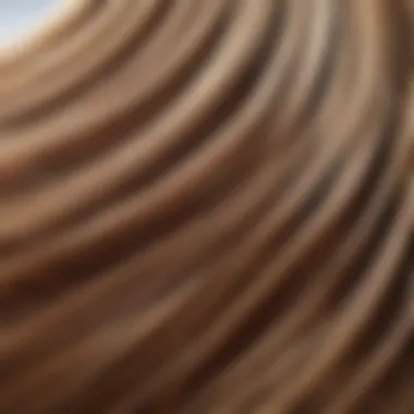 A close-up of healthy hair strands reflecting light, illustrating optimum hair care.