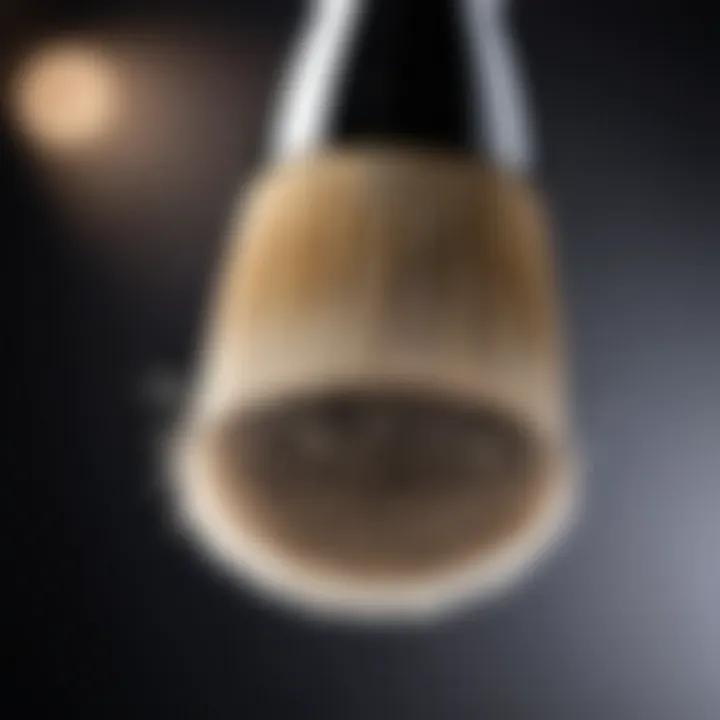 Close-up of a high-quality powder brush with soft bristles