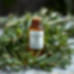 A bottle of rosemary oil surrounded by fresh rosemary leaves