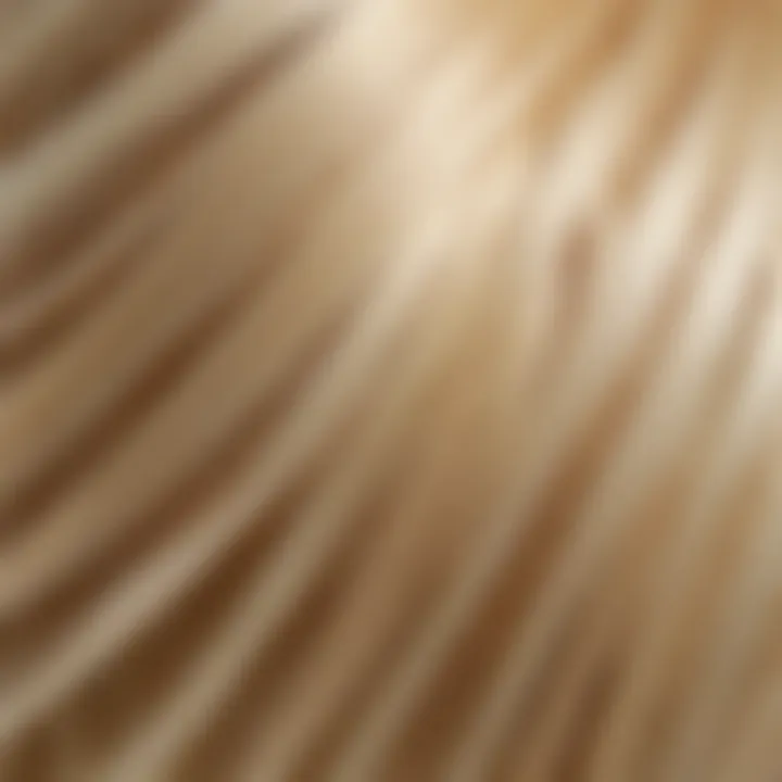 Close-up of hair strands showing the effects of whitening