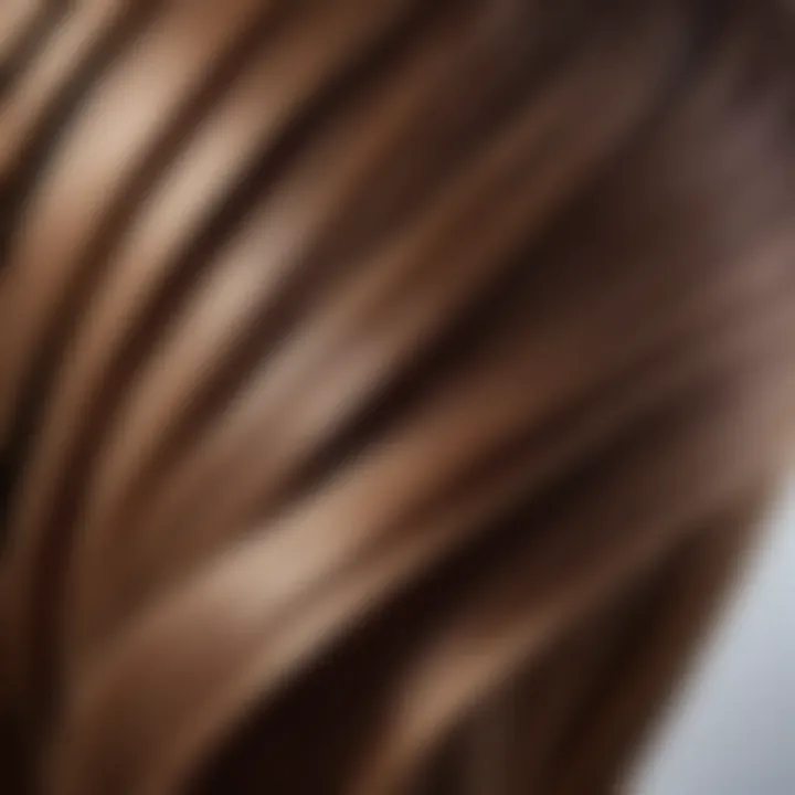 A close-up of a thick, luscious hair strand showcasing hair health