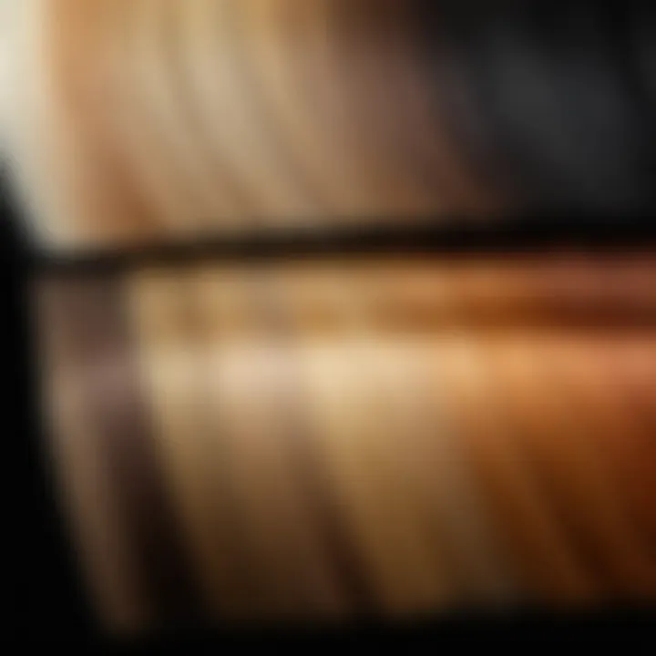 A palette of diverse hair colors showcasing the spectrum from blonde to black.