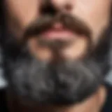 Close-up view of a beard showing a mix of gray and black hair strands