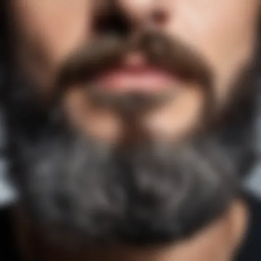 Close-up view of a beard showing a mix of gray and black hair strands