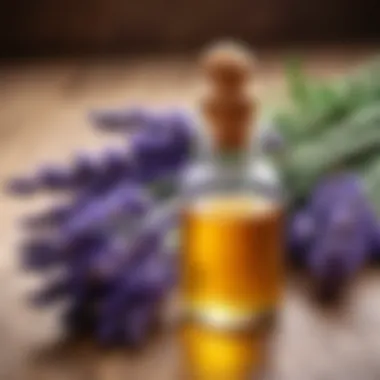 Lavender oil benefits for health