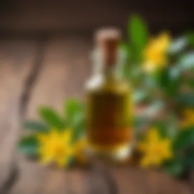 A small glass bottle containing St. John's Wort oil placed on a wooden surface with fresh leaves beside it.