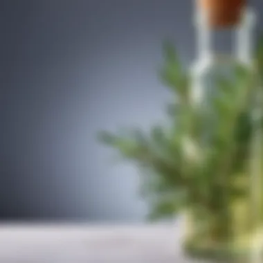 A close-up of rosemary essential oil in a glass bottle